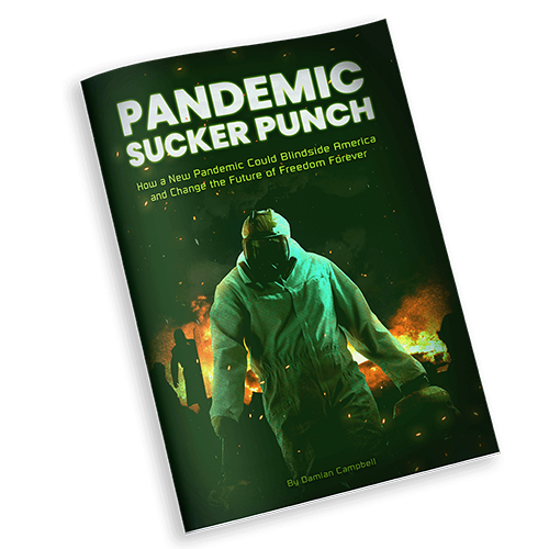 Pandemic Sucker Punch Book